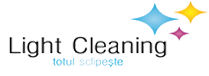Light Cleaning